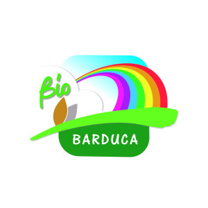 LOGO BARDUCA